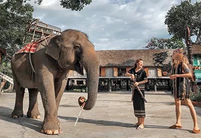 TOUR BUÔN MA THUỘT 3N3Đ | PLEIKU - KON TUM - MĂNG ĐEN