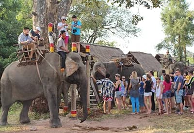 Tour Buôn Ma Thuột 3N2Đ | Tà Đùng (Tây Nguyên Đại Ngàn)