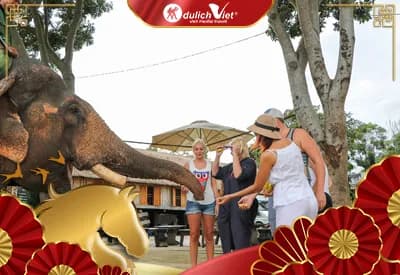 TOUR BUÔN MA THUỘT TẾT NGUYÊN ĐÁN 4N3Đ | PLEIKU - KON TUM - MĂNG ĐEN