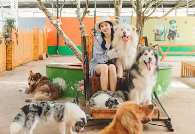 TOUR ĐÀ LẠT MÙA HÈ 3N3Đ | Quảng Trường Lâm Viên - Happy Hill - Puppy Farm
