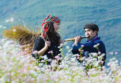 TOUR ĐÔNG BẮC MÙA THU 4N3Đ | HÀ GIANG - ĐỒNG VĂN - LŨNG CÚ - NHO QUẾ