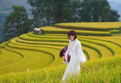 Tour Miền Bắc 5N4Đ| Hà Nội - Vịnh Hạ Long - Tú Lệ - Mù Căng Chải (Mùa Lúa Chín)