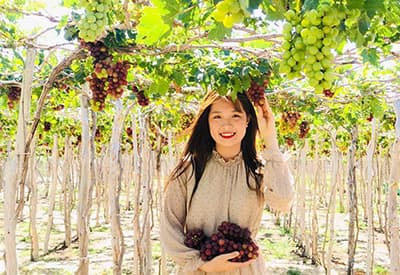 Du lịch miền Trung mùa Thu - Tour Du lịch Đảo Bình Hưng - Ninh Chữ từ Sài Gòn 2025
