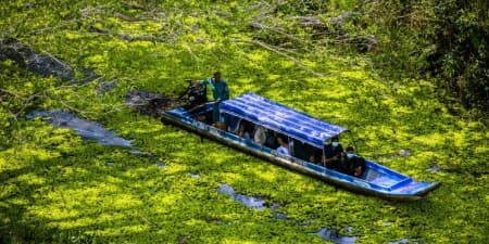 Tour Cà Mau 1 Ngày | Hòn Đá Bạc - Vườn Quốc Gia U Minh Hạ - Khu Du Lịch Hoa - Rừng U Minh