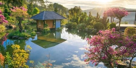 Tour Đà Lạt 3N2Đ | Thành Phố Sương Mờ (Khởi Hành Sáng)