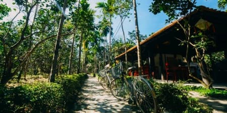 Tour Huế 1 Ngày | Đạp Xe Đến Làng Thủy Biều