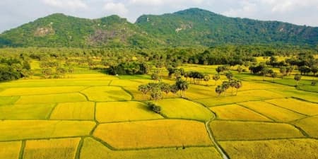 Tour Miền Tây 3N2Đ | Cần Thơ - An Giang - Sóc Trăng - Bạc Liêu - Cà Mau