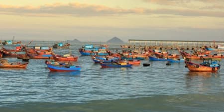 Tour Nha Trang 1 Ngày | Du Ngoạn Đảo Khám Phá Nha Trang