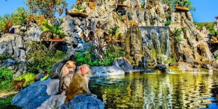 Tour Nha Trang 1 Ngày | Du Ngoạn Trên Đảo Phu Nha
