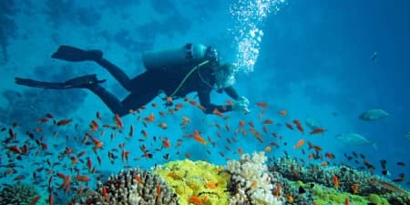 Tour Nha Trang 1 Ngày | Tour Lặn Bình Dưỡng Khí