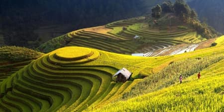 Tour Tây Bắc 2N1Đ | Hà Nội - Mù Cang Chải (Mùa lúa)
