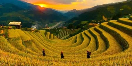 Tour Tây Bắc 3N2Đ | Hà Nội - Mù Cang Chải (Mùa Lúa)
