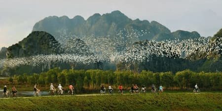 Tour Ninh Bình 2N1Đ | Hoa Lư - Tam Cốc - Hang Múa - Bích Động Thung Nham