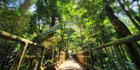 Tour Ninh Bình Mùa Thu 2N1Đ | Hoa Lư - Tam Cốc - Hang Múa - Vườn Quốc Gia Cúc Phương