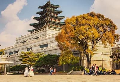 TOUR HÀN QUỐC MÙA THU 5N4Đ | HÀ NỘI - SEOUL - NAMI - EVERLAND - THƯ VIỆN SÁCH - PAINTER SHOW
