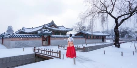 TOUR HÀN QUỐC MÙA ĐÔNG 6N5Đ | HÀ NỘI - BUSAN - SEOUL - ĐẢO NAMI - INCHEON - ĐI PHÀ CHO HẢI ÂU ĂN