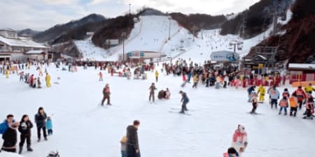 TOUR HÀN QUỐC MÙA ĐÔNG 6N5Đ | HÀ NỘI - SEOUL - JEJU - TRẢI NGHIỆM SAUNA - TRƯỢT TUYẾT ELYSIAN - HÁI QUÝT