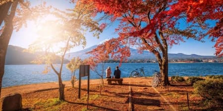 TOUR NHẬT BẢN MÙA THU 5N4Đ | TOKYO - FUJI - TOKYO CITY TOUR